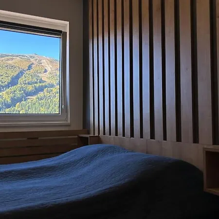 The Olympic View Apartment